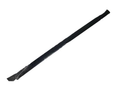 GM 19259794 Reveal Molding