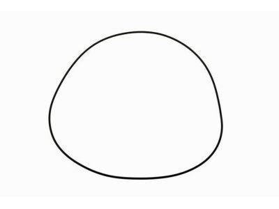 GM 89047954 Gasket, Rear Axle Housing Cover (O-Ring)