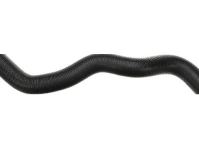 GM 25740123 Lower Hose