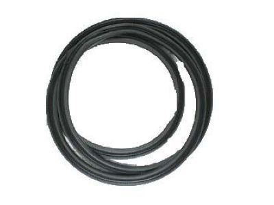 GM 20944489 Weatherstrip