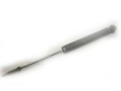GM 19300029 Shock Absorber
