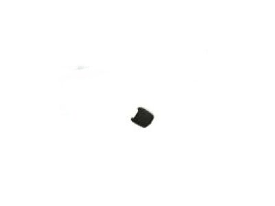 GM 13500191 Latch Retainer