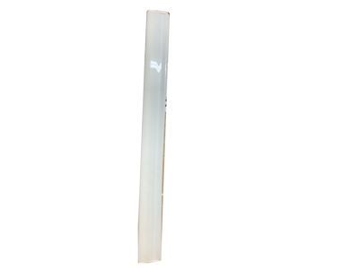 GM 20816961 Side Molding