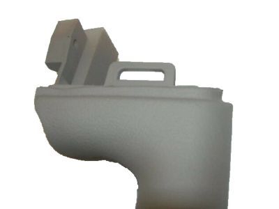 GM 88981549 Armrest, Front Side Door