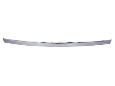 GM 95389392 Lower Molding
