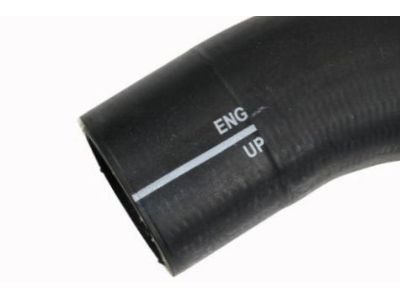 GM 19330105 Upper Hose