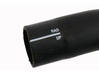 GM 19330105 Upper Hose