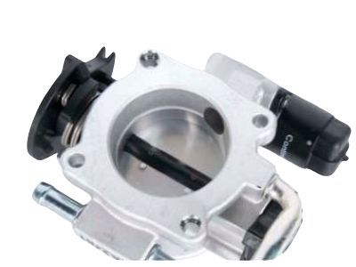 GM 25183955 Throttle Body