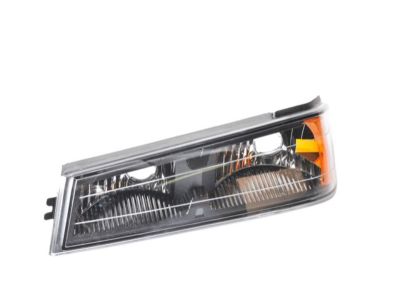 GM 19418419 Park/Turn Lamp