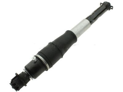 GM 19300026 Shock Absorber