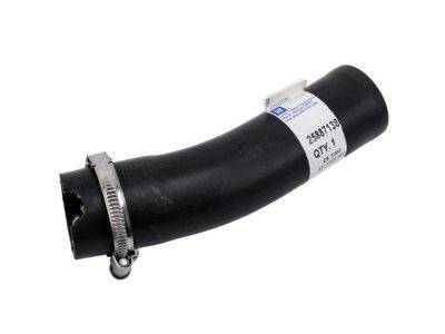 GM 25887138 Lower Hose