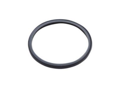GM 12680544 Thermostat Seal