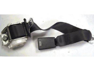 GM 89025885 Center Belt Assembly