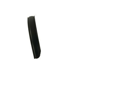 GM 20815166 Roof Molding