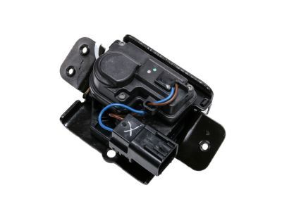 GM 13584872 Latch Assembly