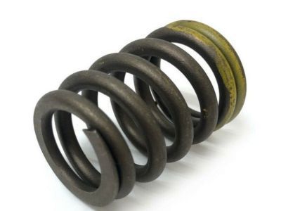 GM 10240898 Valve Springs