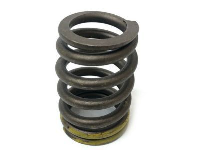 GM 10240898 Valve Springs