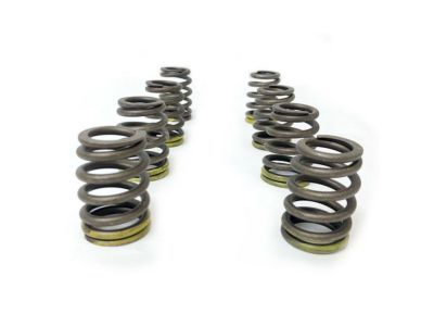 GM 10240898 Valve Springs