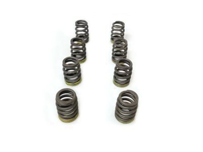 GM 10240898 Valve Springs