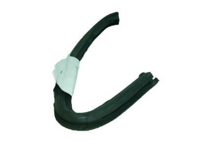 GM 84383090 Front Weatherstrip