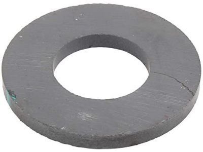 GM 29535617 Magnet