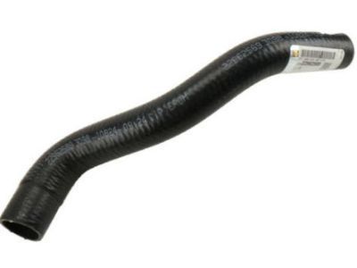 GM 22962569 Lower Hose