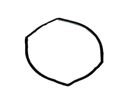 Chevrolet 10410633 Canister Hose