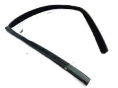 GM 15188255 Weatherstrip-Rear Side Door Window