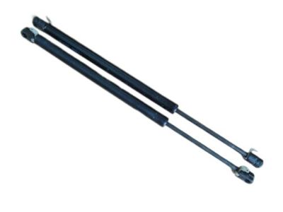 GM 10429204 Strut