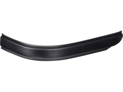 GM 20815163 Roof Molding