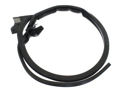 GM 15298668 Weatherstrip