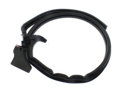 GM 15298668 Weatherstrip