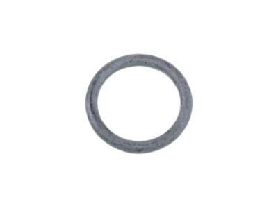 GM 25904093 Reservoir Cap Seal