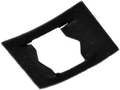 GM 25640501 Lower Hinge Retainer