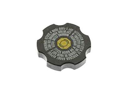 GM 20819283 Reservoir Cap