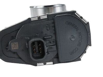 GM 12631187 Throttle Body