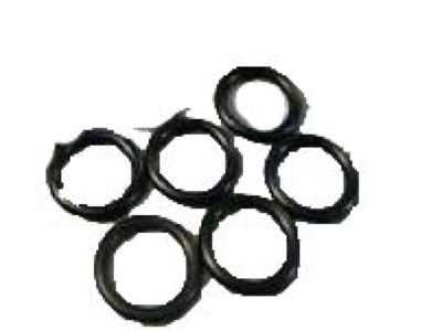 GM 52454646 Line O-Ring