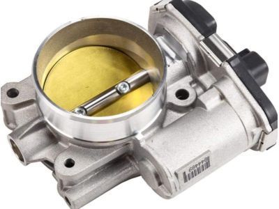 GM 12694873 Throttle Body