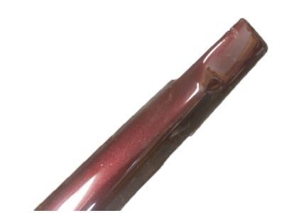 GM 10246326 Molding Asm-Rear Side Door Center