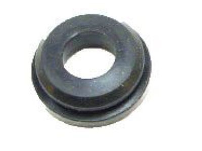 GM 5461808 Check Valve Grommet