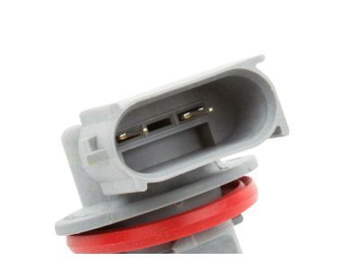 GM 23255094 Socket