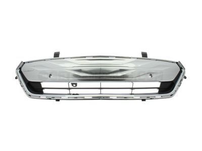 GM 23289646 Lower Grille