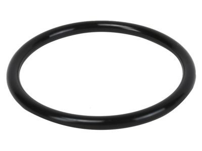 GM 94011702 Outlet Pipe Seal