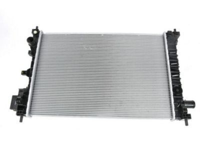 GM 42349018 Radiator