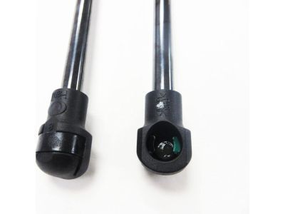 GM 95152166 Lift Cylinder