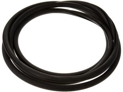 GM 15893292 Glass Weatherstrip