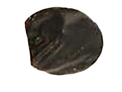 GM 88974111 Insulator Retainer