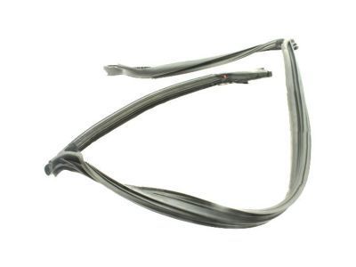 GM 84367842 Weatherstrip