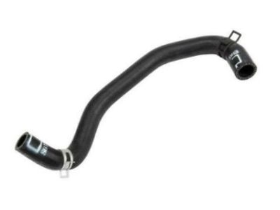 GM 95382835 Reservoir Hose