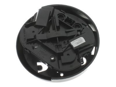 GM 22919754 Mirror Motor